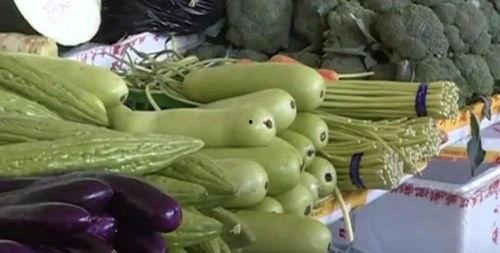 喷瓜种子可以吃吗,美味还是禁忌？揭秘可食用之谜