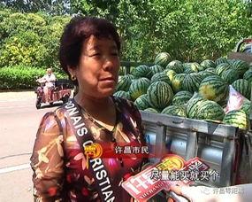 二七吃瓜群众,揭秘网络热议背后的真相与笑料