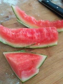 废物吃瓜,揭秘垃圾食品背后的真相