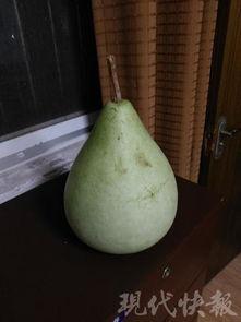 什么是无效吃瓜,如何避免成为无脑跟风者