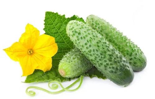 郑珣吃瓜系统,揭秘娱乐圈幕后真相