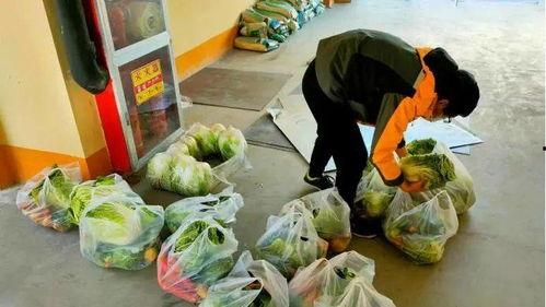 西安疫情源头吃瓜,揭秘“吃瓜”背后的真相