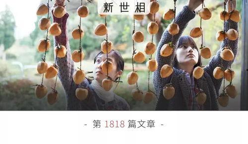 网络吃瓜精彩合集,盘点年度最热话题精彩瞬间