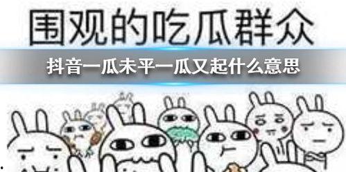 高校抖音吃瓜群,揭秘校园热点背后的故事