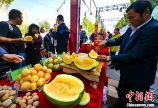 吃瓜谈明朝,吃瓜群众视角下的明朝风云