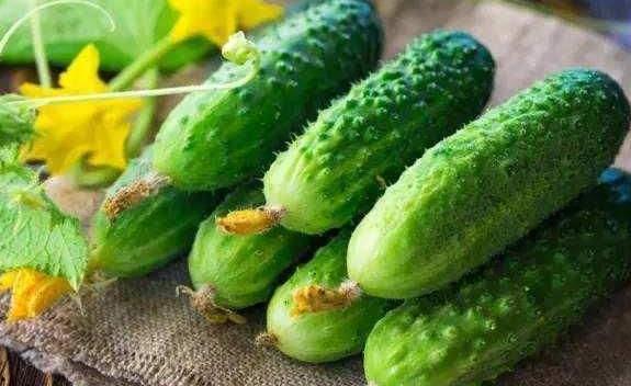 哪个吃瓜博主的瓜最真,知名博主揭露最真实瓜料，真相令人震惊！