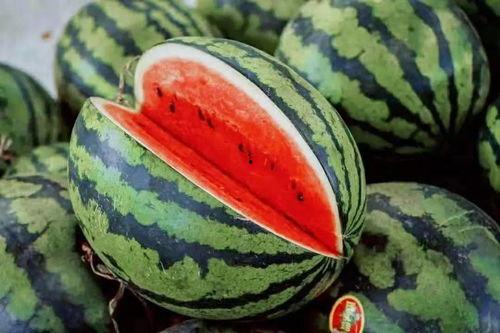 吃瓜手册好看吗,揭秘娱乐圈那些事儿，好看吗？